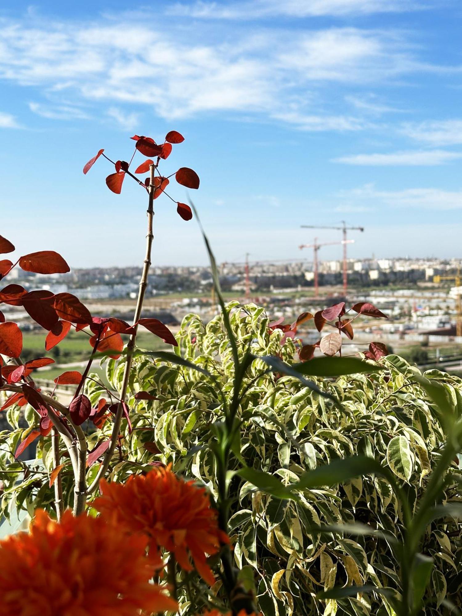 Anfa Louise Apartment Casablanca Bagian luar foto